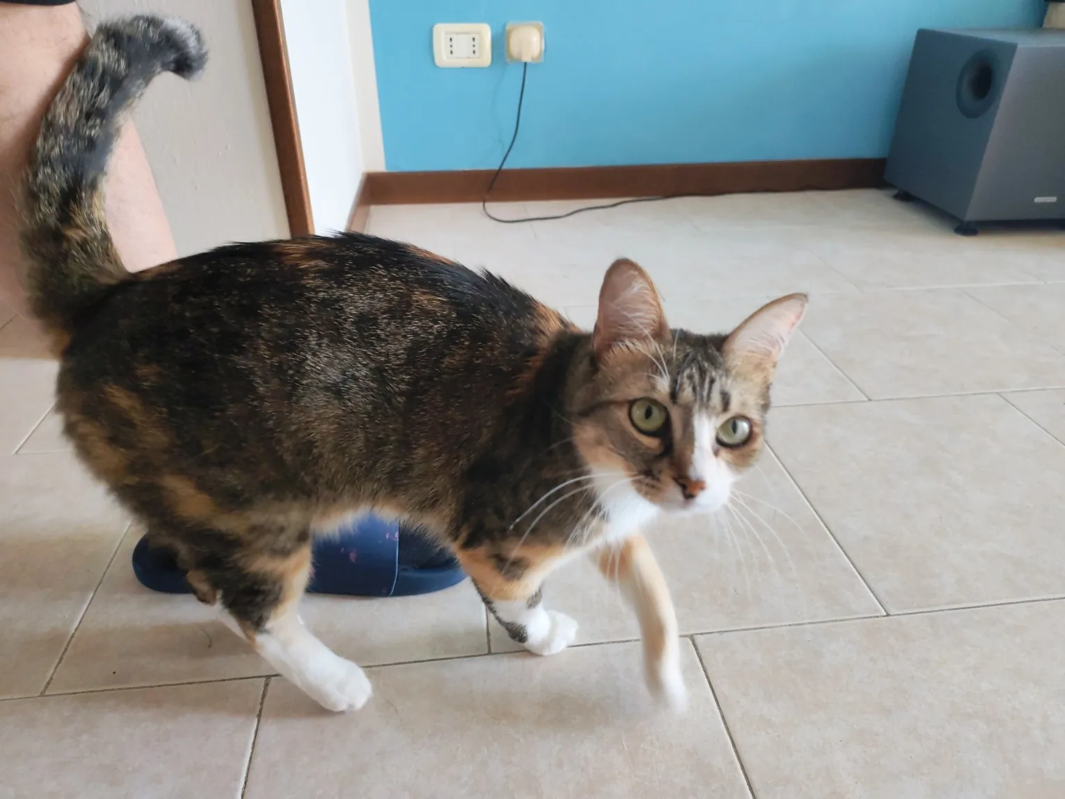 Foto originale di Nami