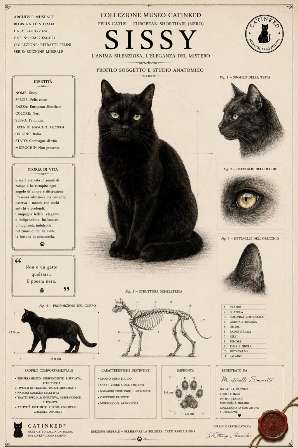 Poster Catinked di Sissy